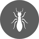 Charleston Termite Pest Control