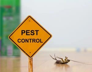 pest-control-myths